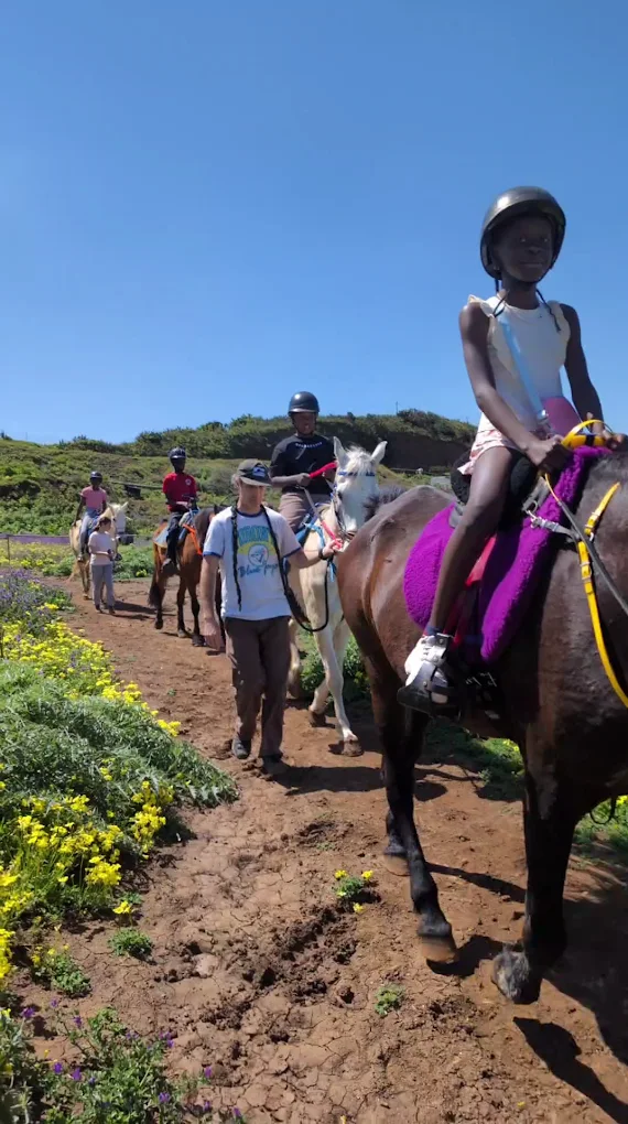 Horseback Riding in El Médano
