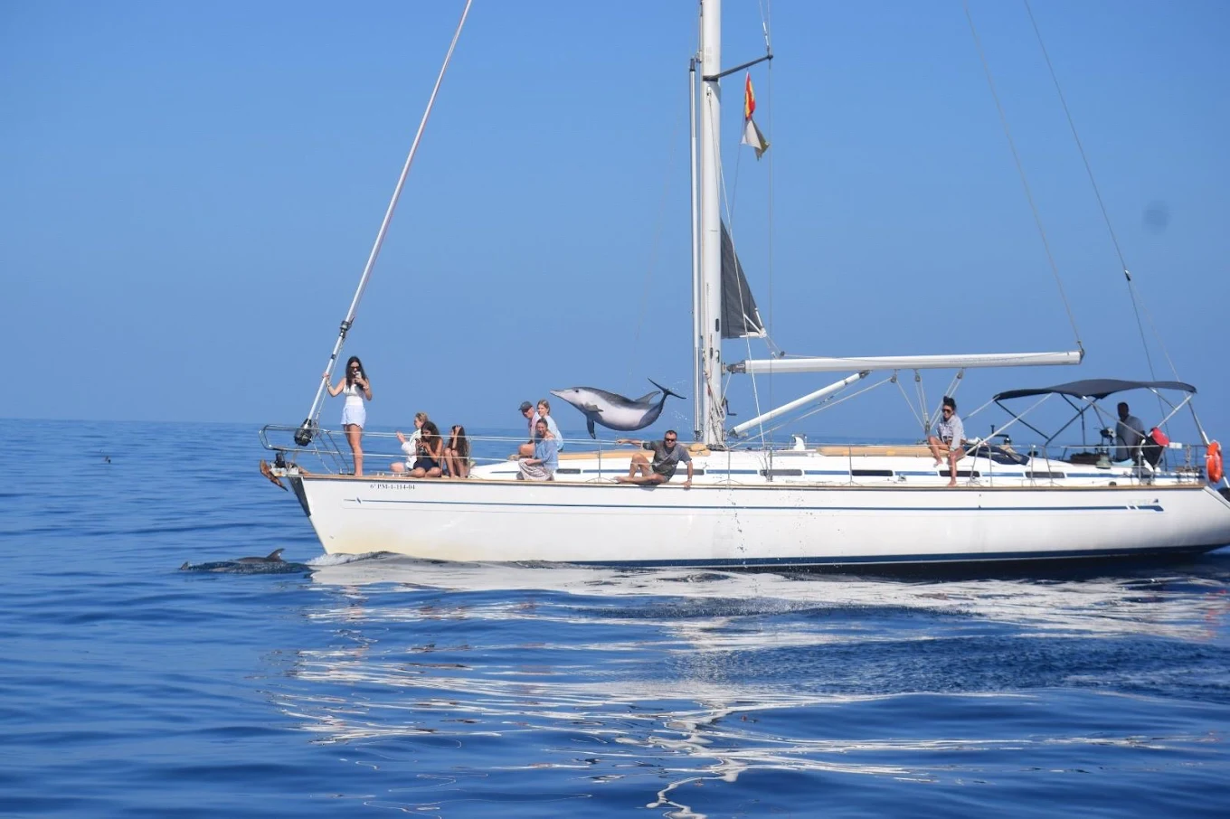 Sunset Cruise in La Laguna photo 5