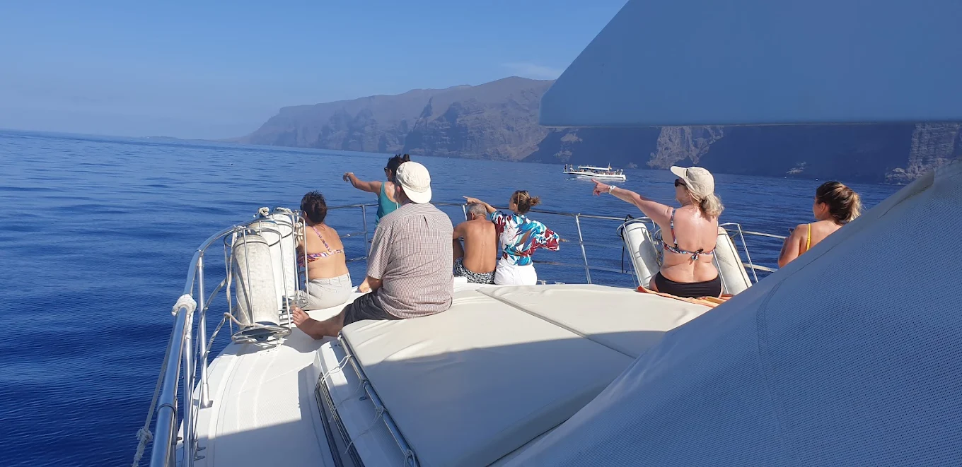 Family Boat Trips in Los Gigantes