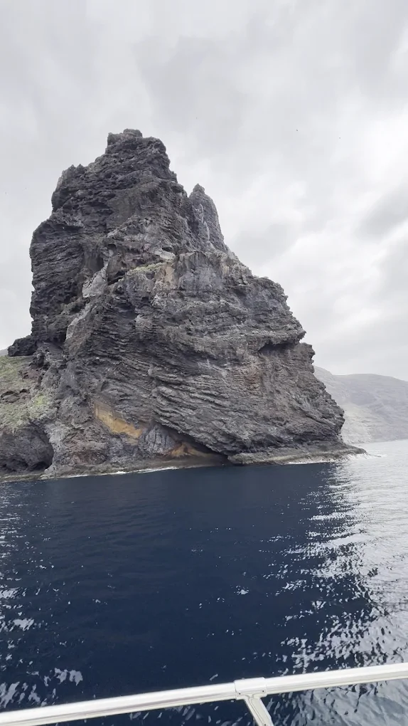 Family Boat Trips in Los Gigantes photo 3