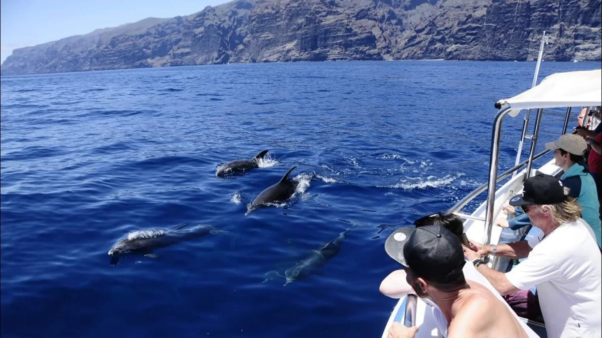 Family Boat Trips in Los Gigantes photo 4