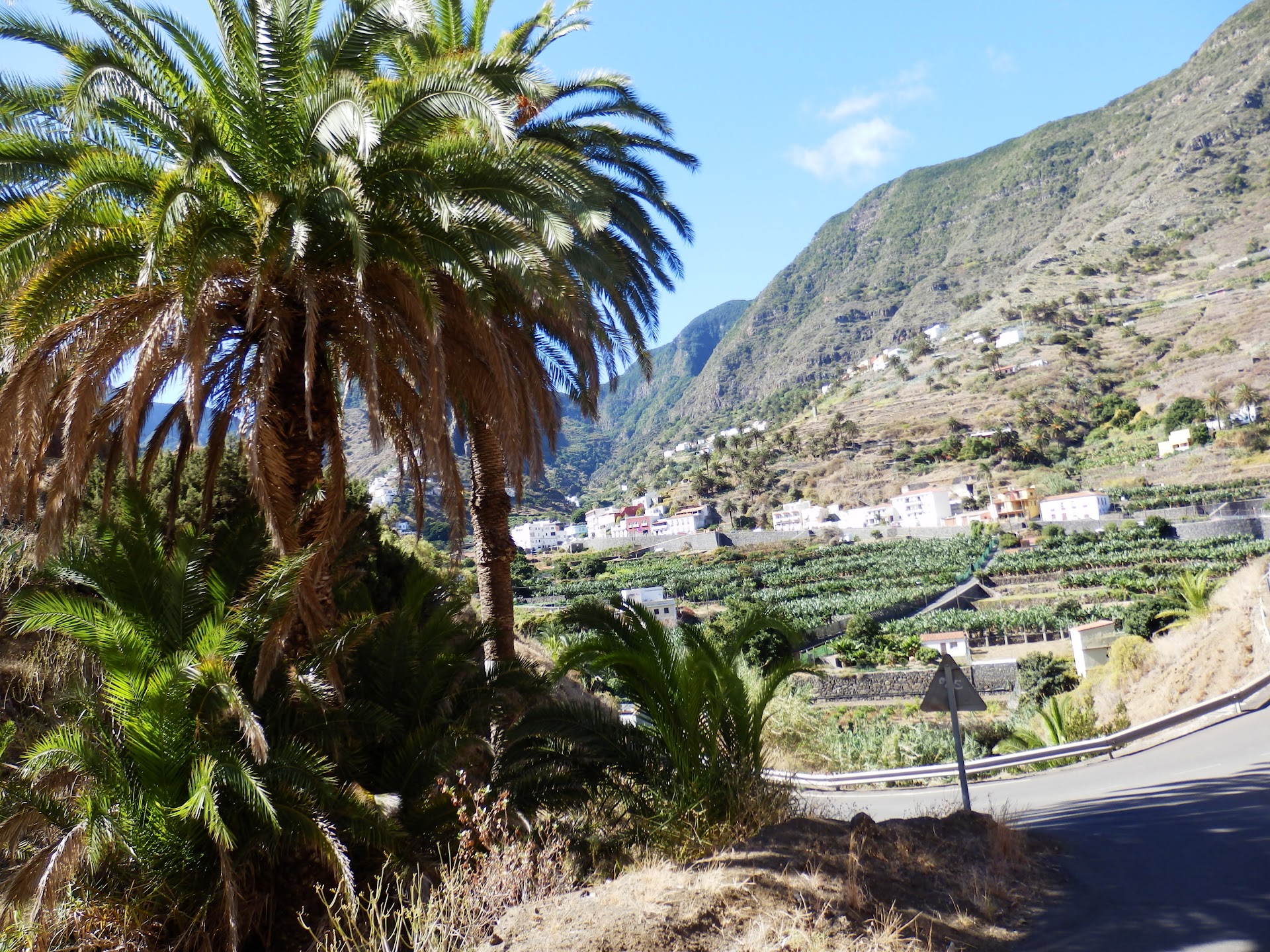 Gictur La Gomera