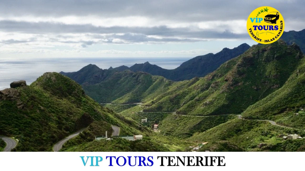 Volcano Tours in Puerto de la Cruz photo 4