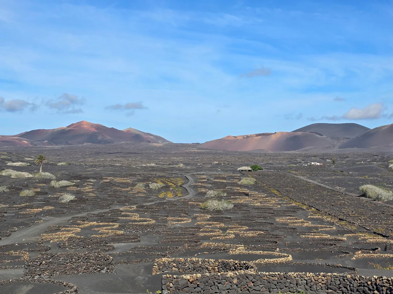 Hiking Tours in Arrecife photo 2