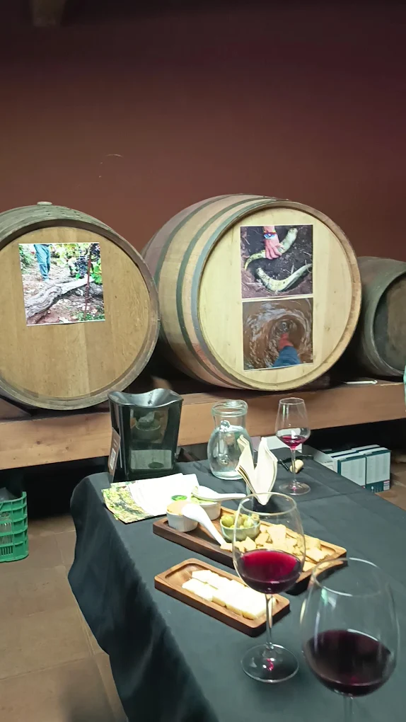 Bodega Ecológica Marzagana Elementales. Vinos naturales y biodinámicos.