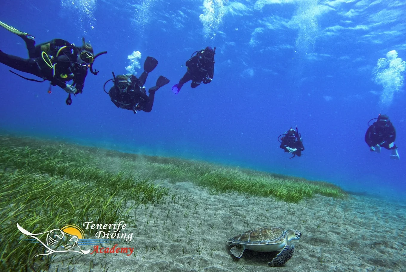 Snorkeling in La Laguna photo 4
