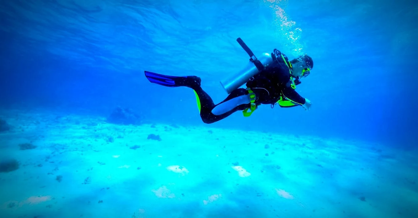 Snorkeling in La Laguna photo 5