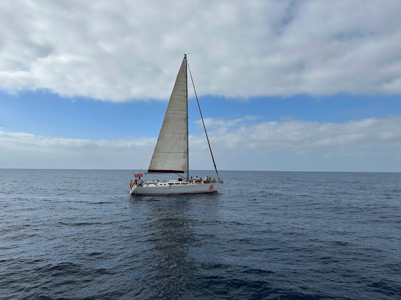 Glass Bottom Boat in Costa Calma photo 2