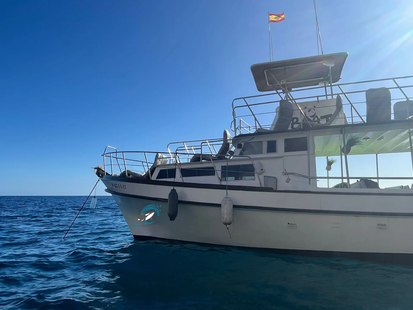 Family Boat Trips in Puerto Rico photo 2