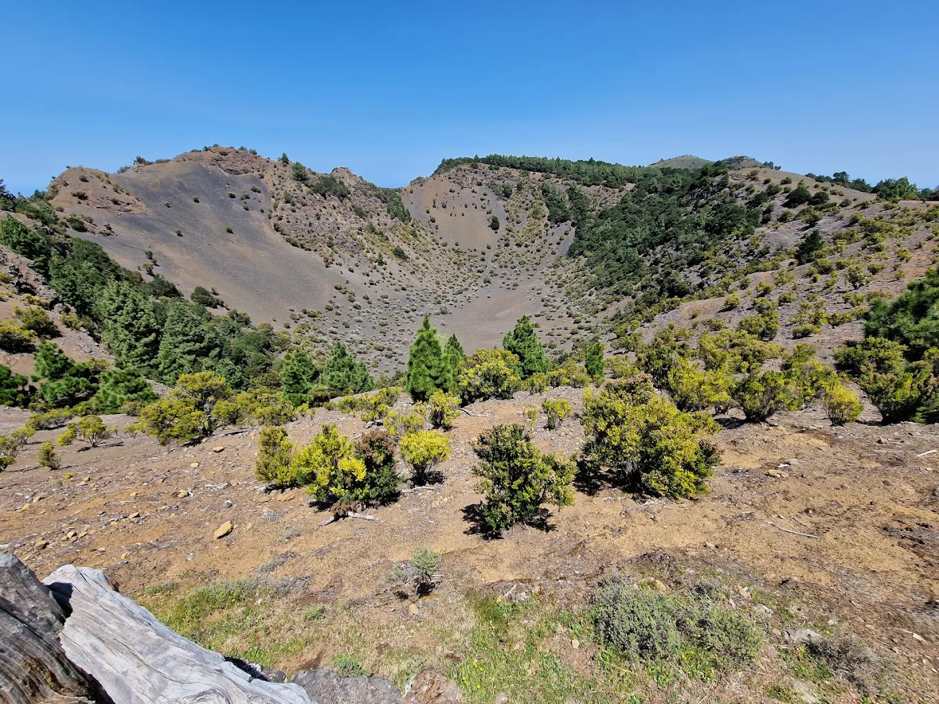 Hiking Tours in El Pinar photo 5