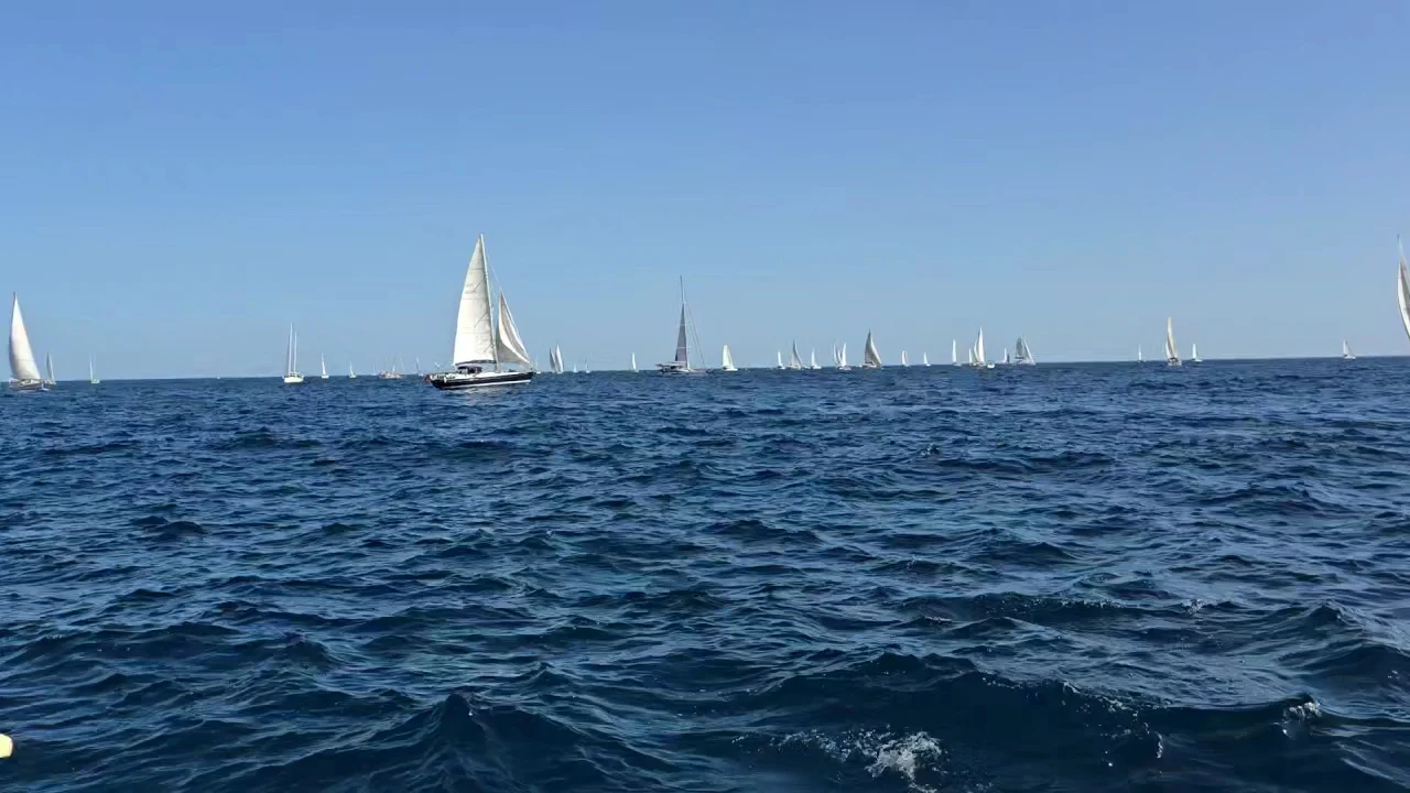 Sailing Excursion in Las Palmas