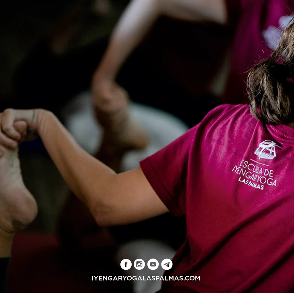 Yoga & Wellness in Puerto Rico photo 4