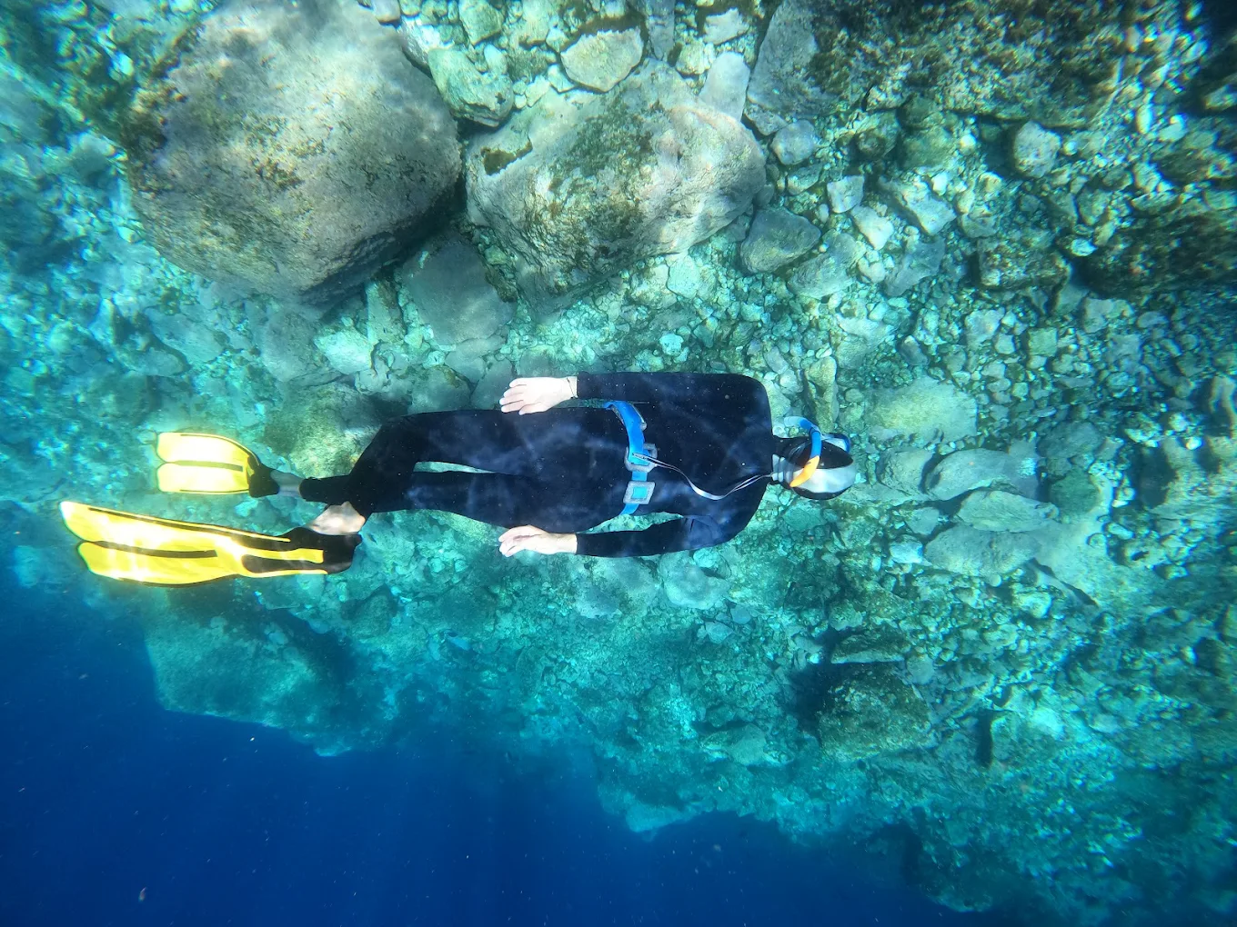 Freediving in La Laguna