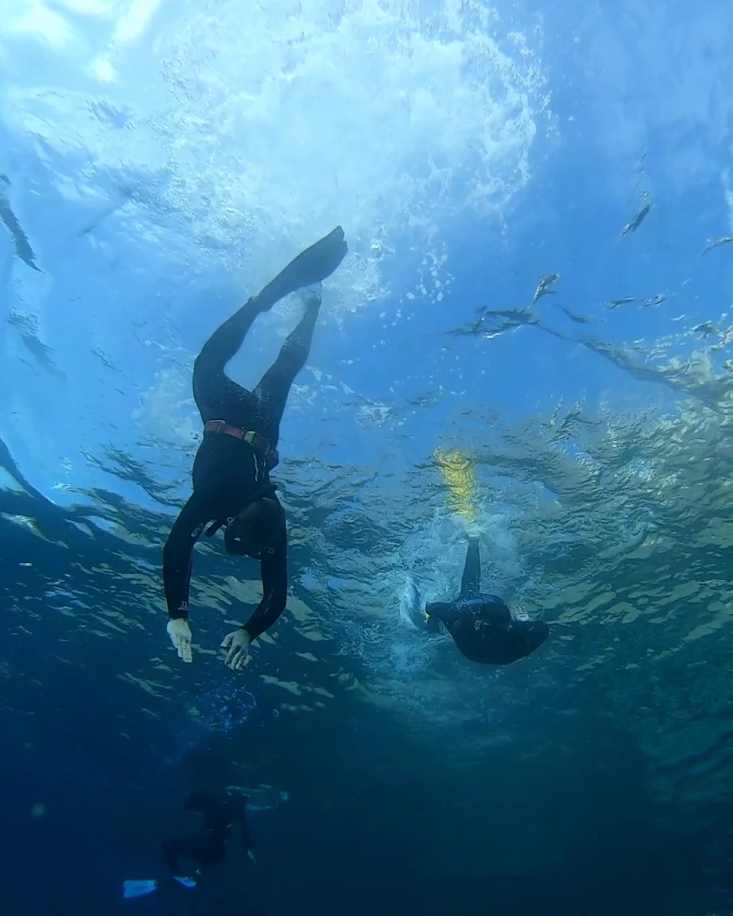 Freediving in La Laguna photo 3