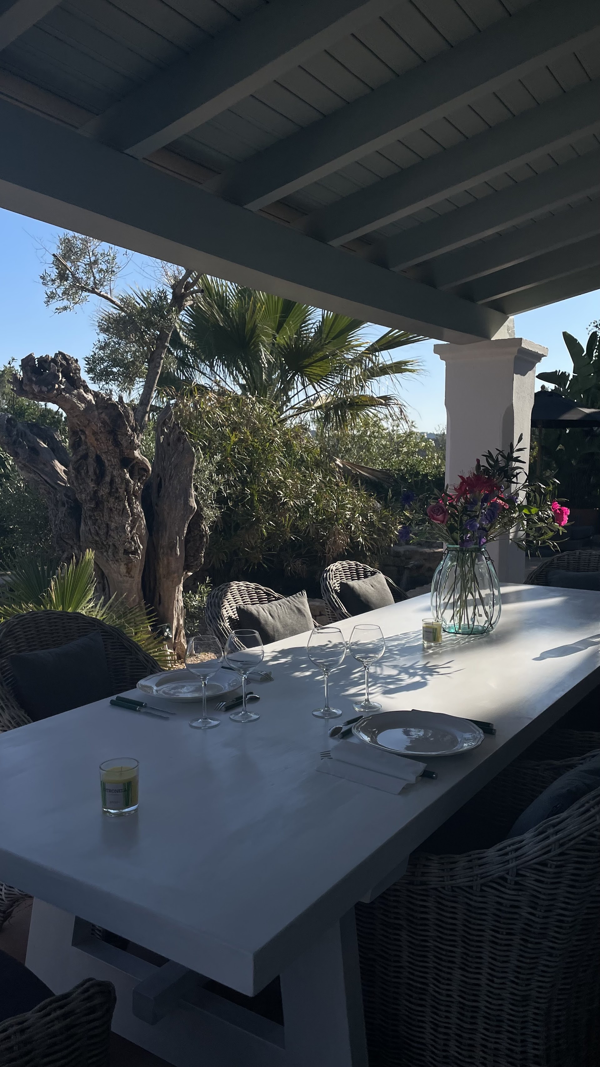 L.A. Private chef Ibiza