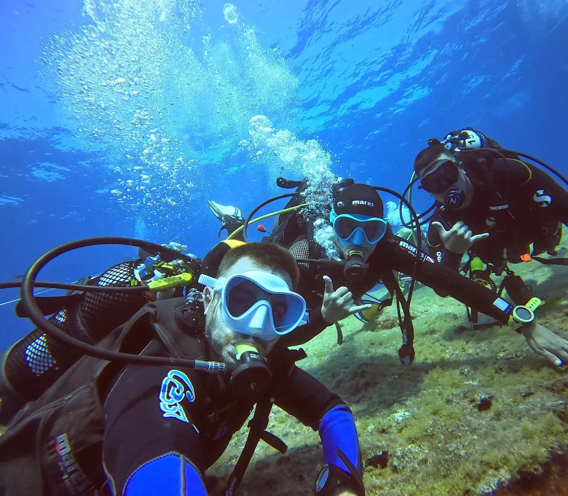 Freediving in El Pinar photo 4