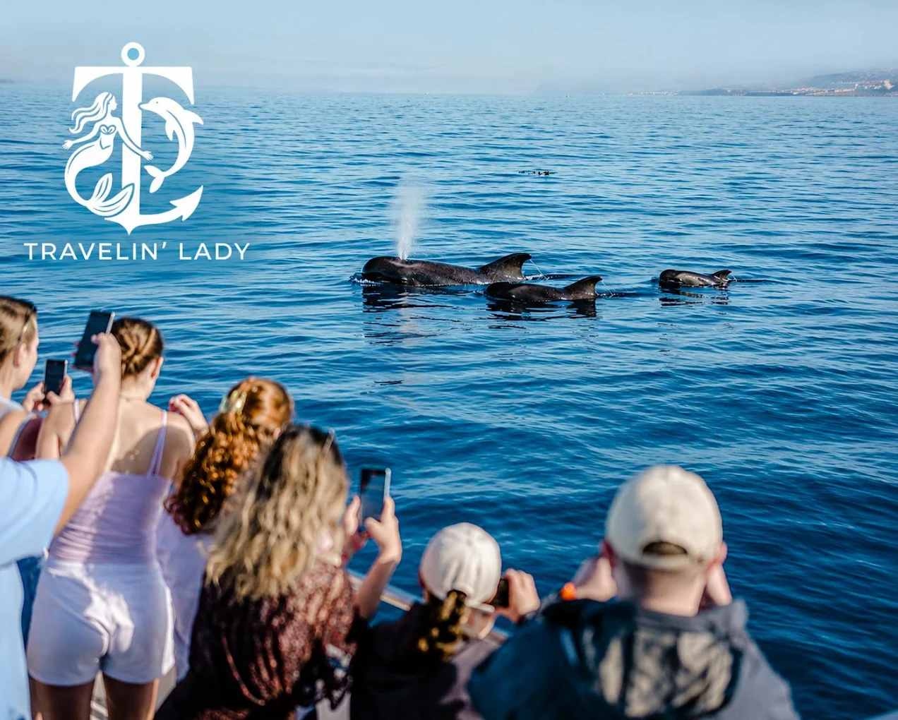 Dolphin Watching in El Médano photo 5