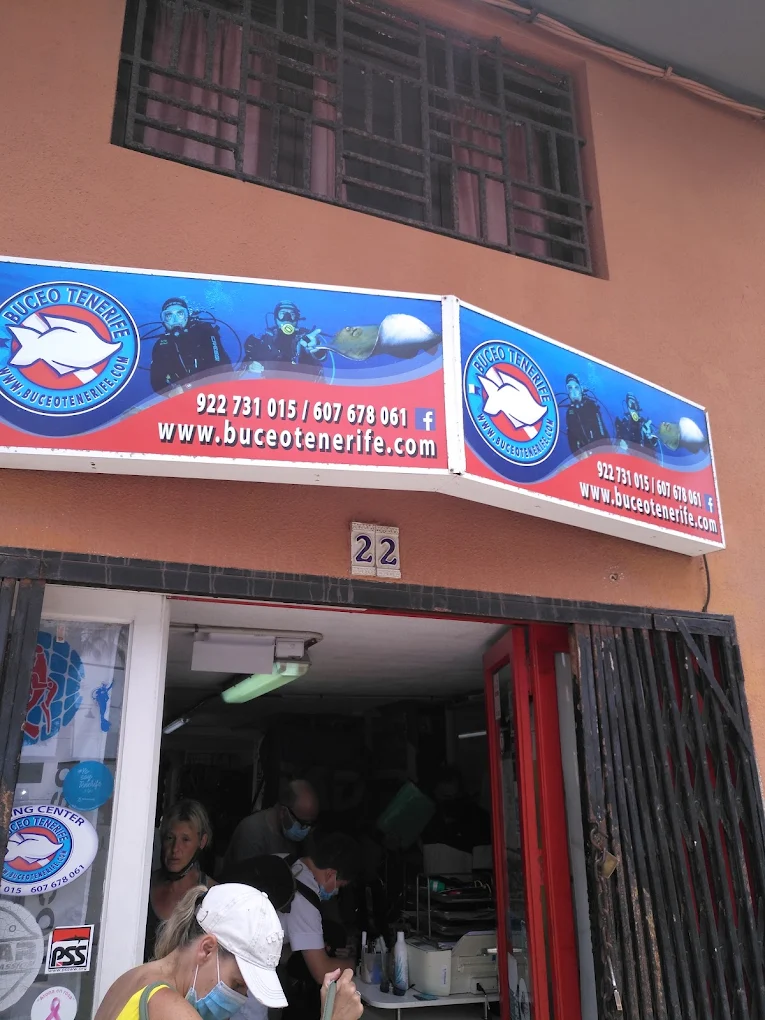 Snorkeling in Los Cristianos photo 5