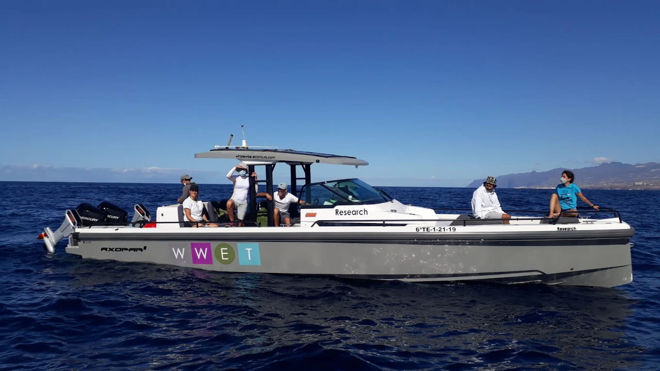 Dolphin Watching in Los Gigantes photo 3