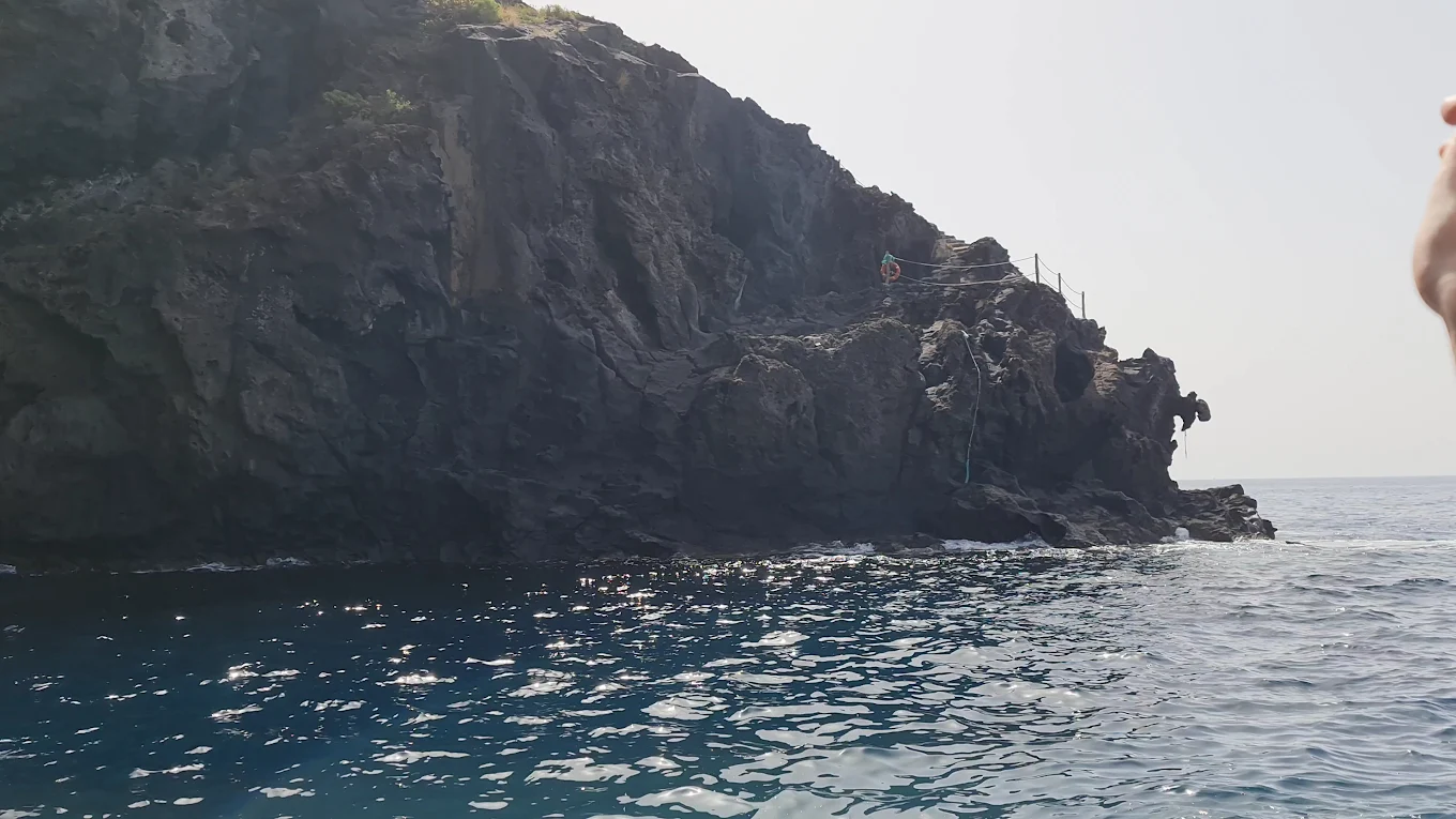 Dolphin Watching in Fuencaliente