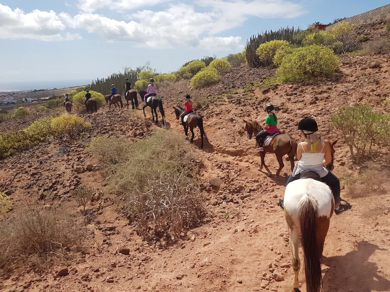 Horseback Riding in Puerto de Mogán
