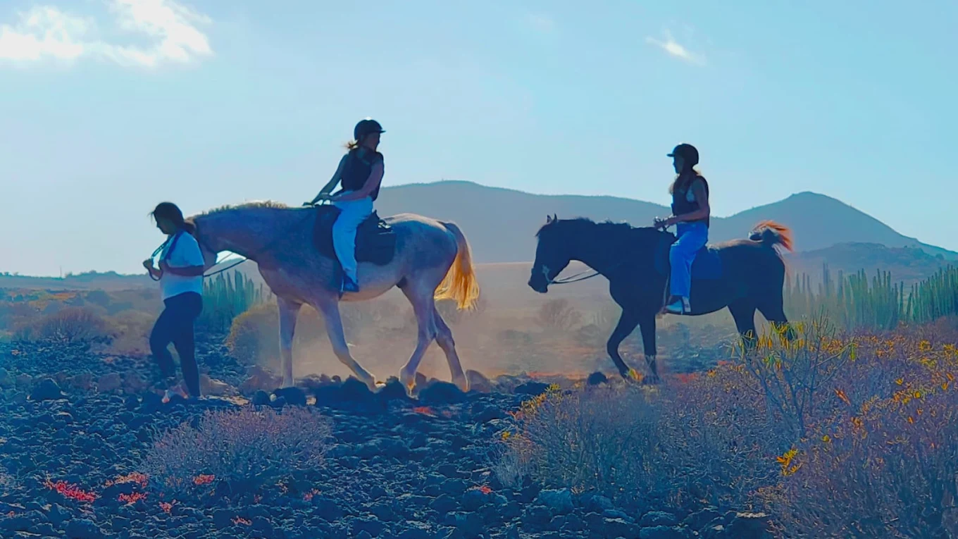 Horseback Riding in La Laguna