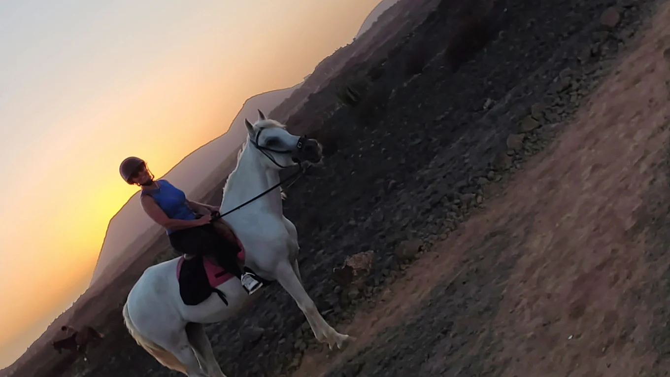 Horseback Riding in La Laguna photo 2
