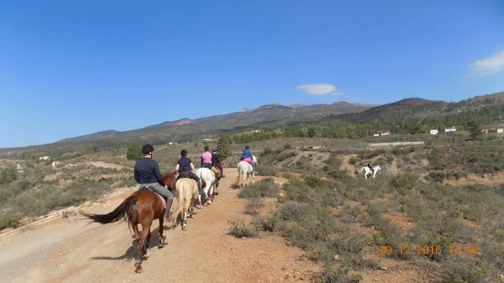 Horseback Riding in La Laguna photo 5