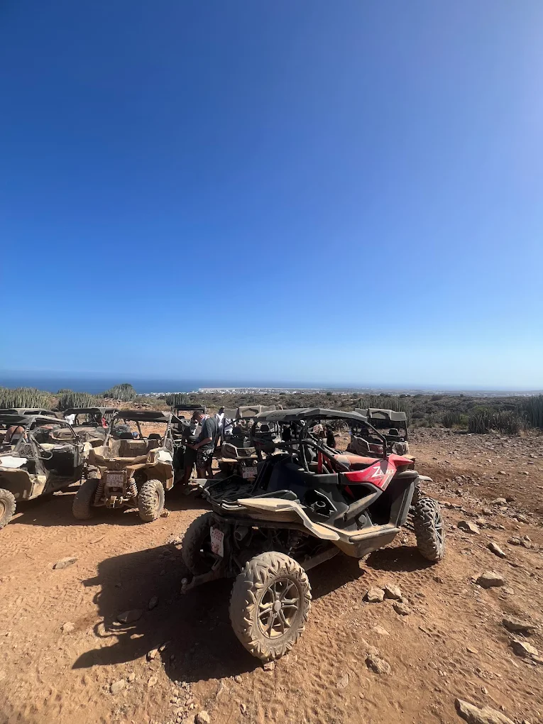Quad & Buggy Tours in Puerto Rico photo 2
