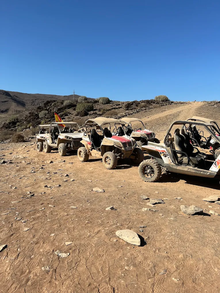Quad & Buggy Tours in Puerto Rico photo 4