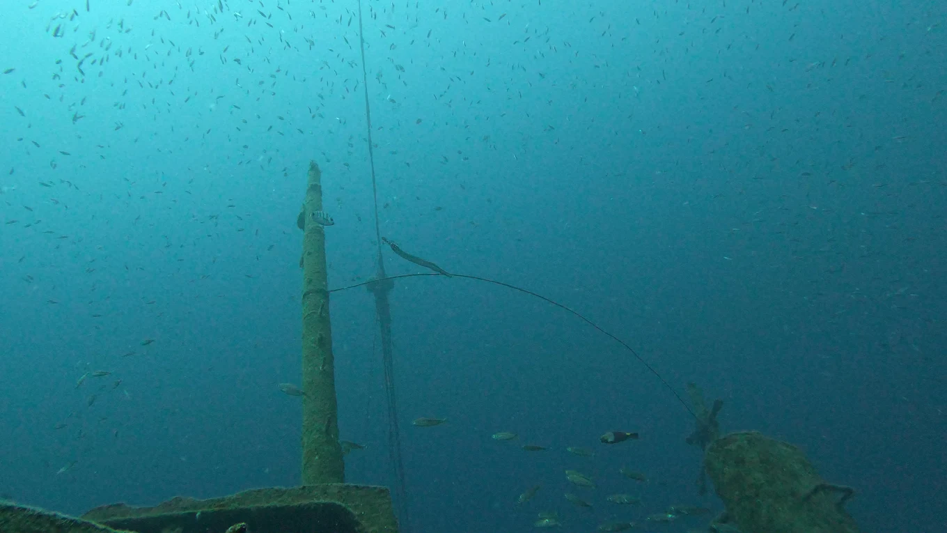 Scuba Courses in La Caleta