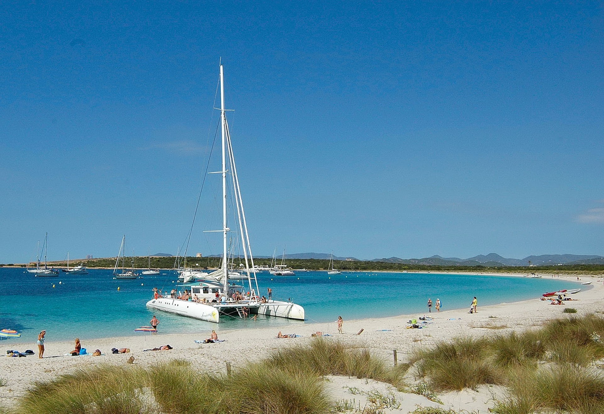 Catamaran Cruise in Es Pujols photo 1