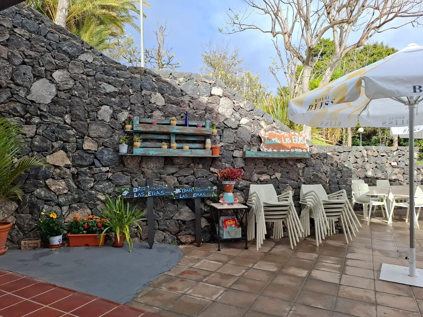 Cocktail Masterclass in Playa de Santiago