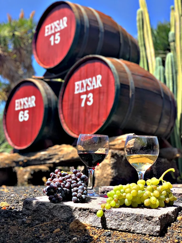 Wine Tasting in El Pinar
