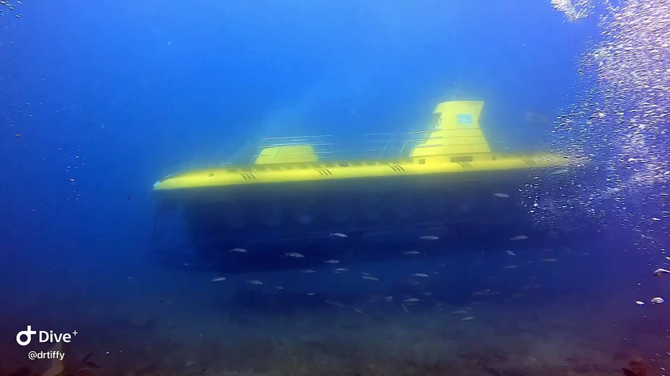 Diving & Snorkeling in Teror