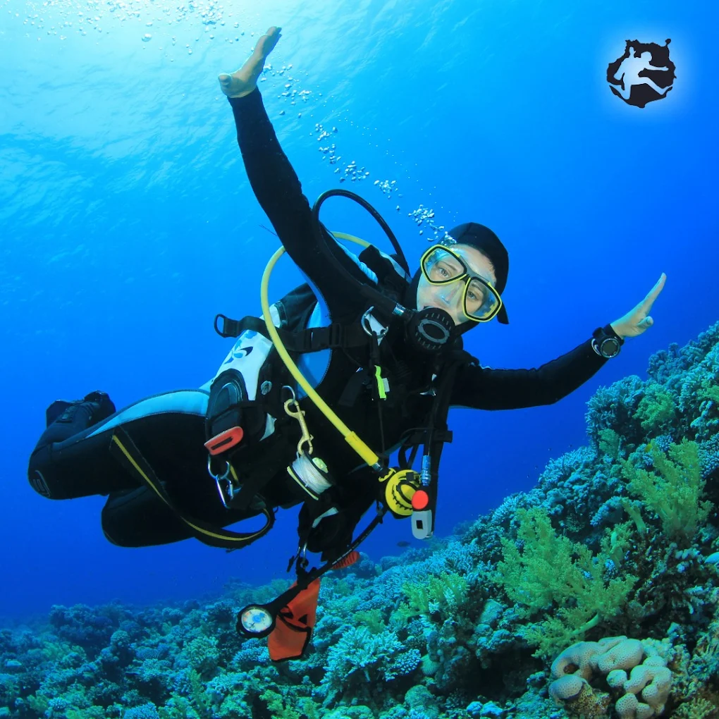 Diving & Snorkeling in Teror photo 3