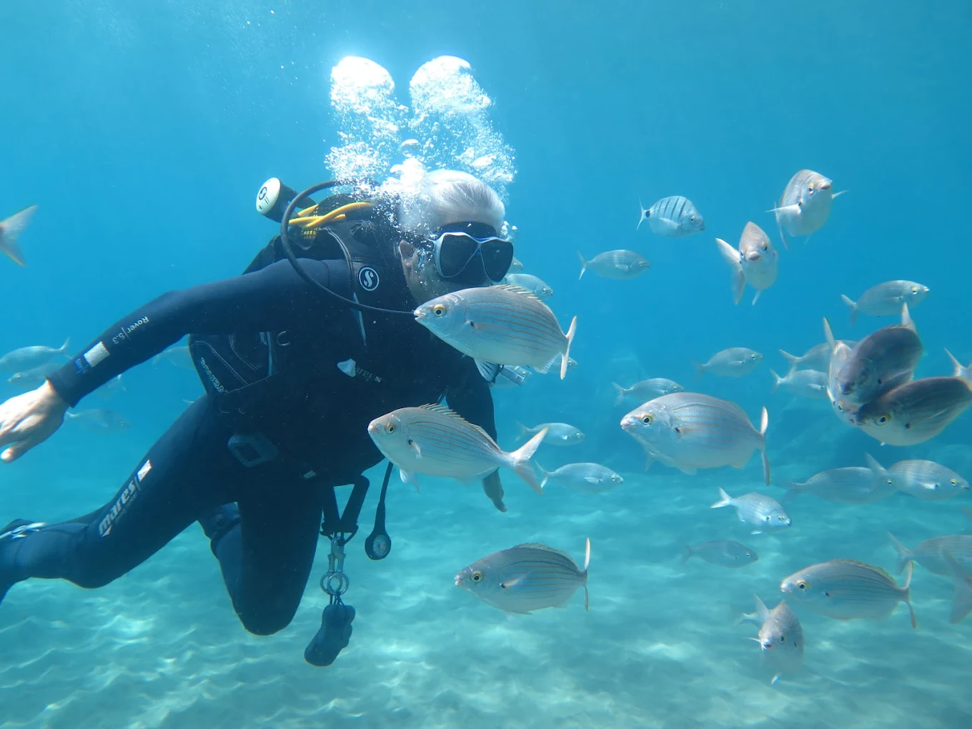 Diving & Snorkeling in Teror photo 5