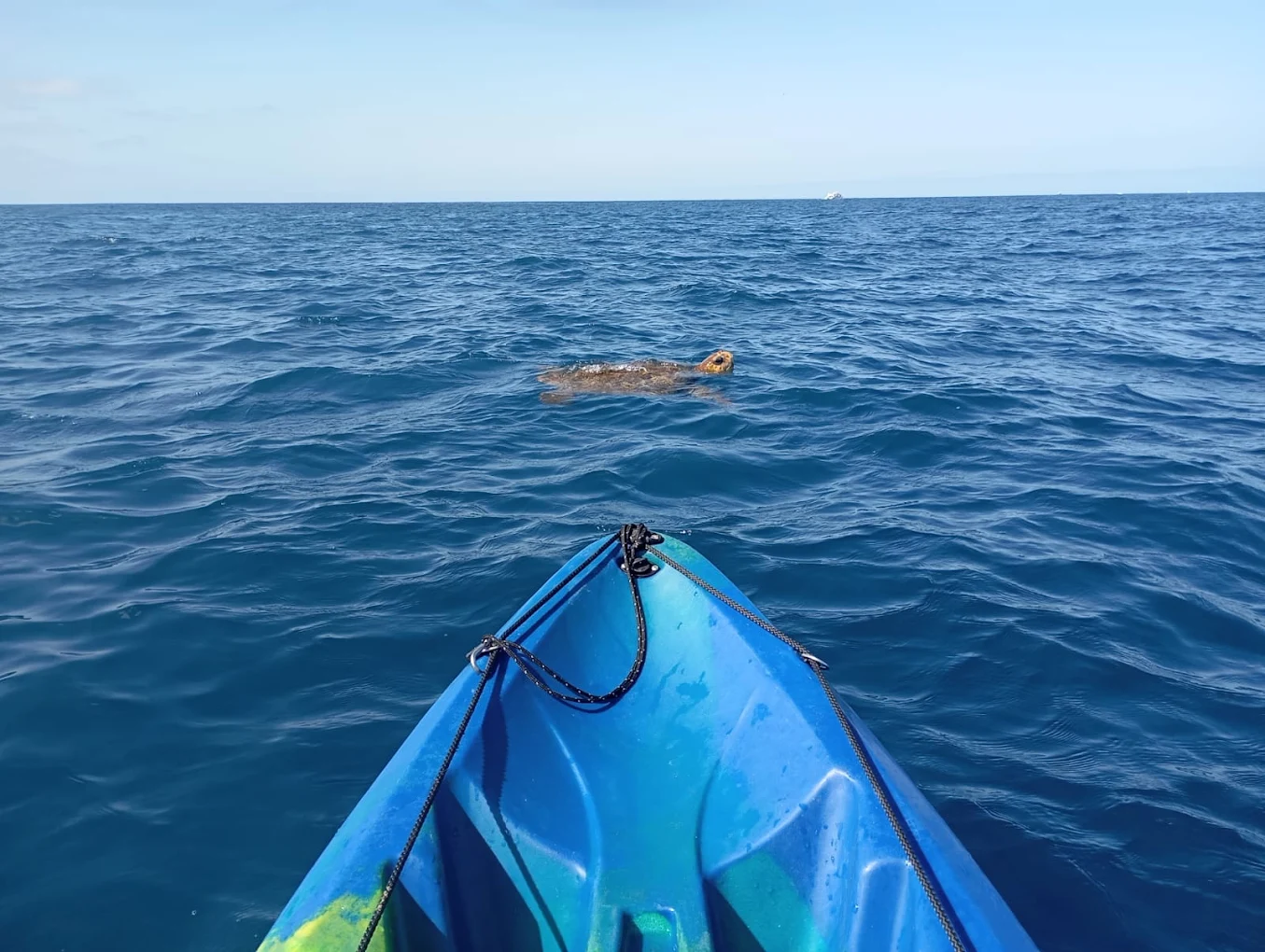 Kayaking & Paddleboarding in La Orotava photo 2