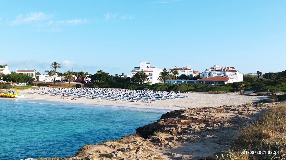 Whale Watching in Cala en Bosch