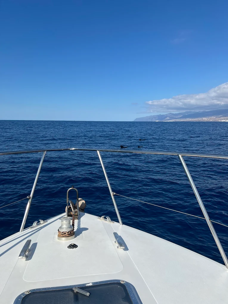 Family Boat Trips in Puerto de la Cruz photo 3