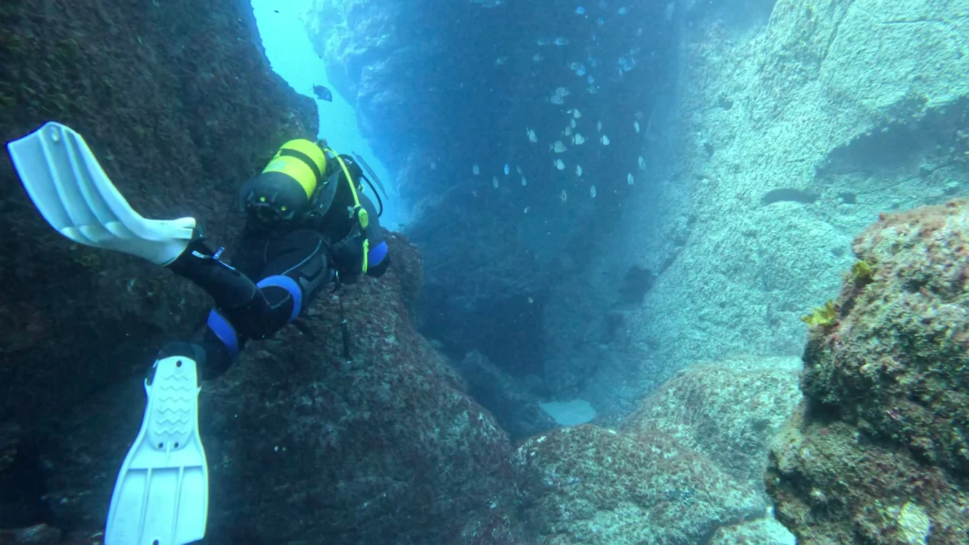 Snorkeling Arguineguín