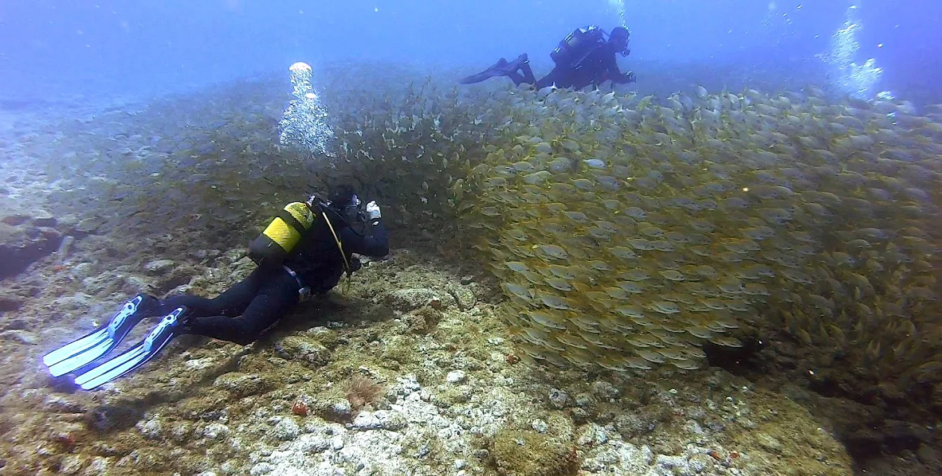 Snorkeling in Teror photo 4