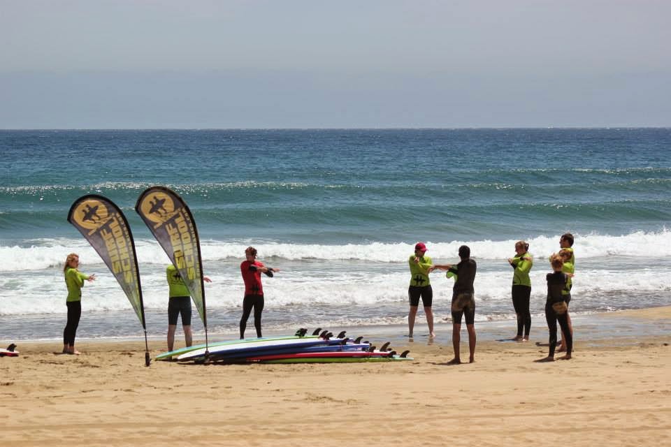 Surf Canaries