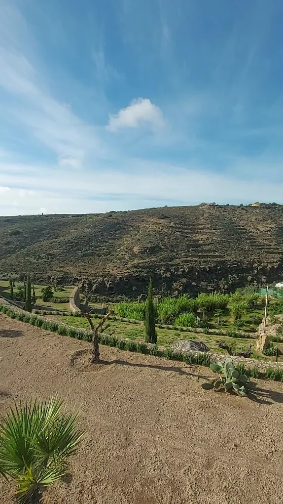 Wellness Retreat in El Pinar photo 3