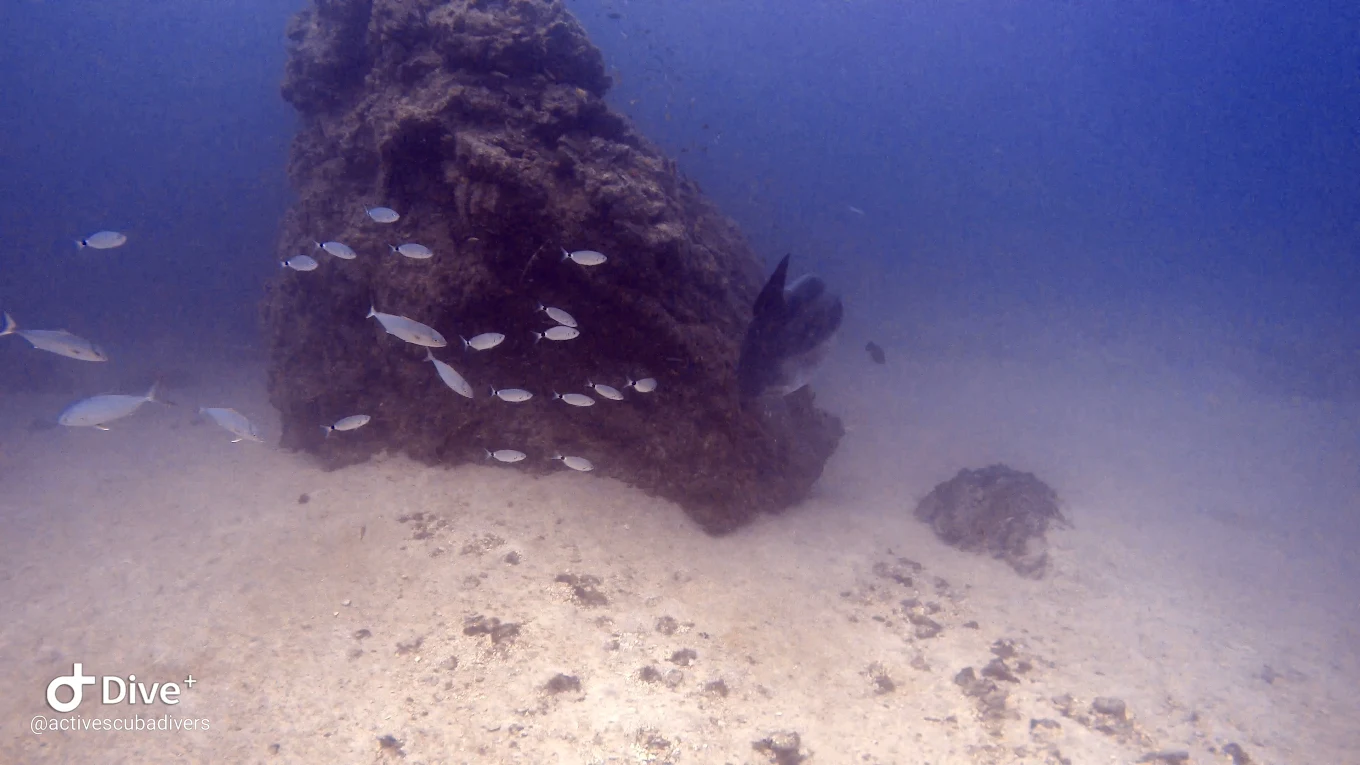 Diving & Snorkeling in Costa Teguise
