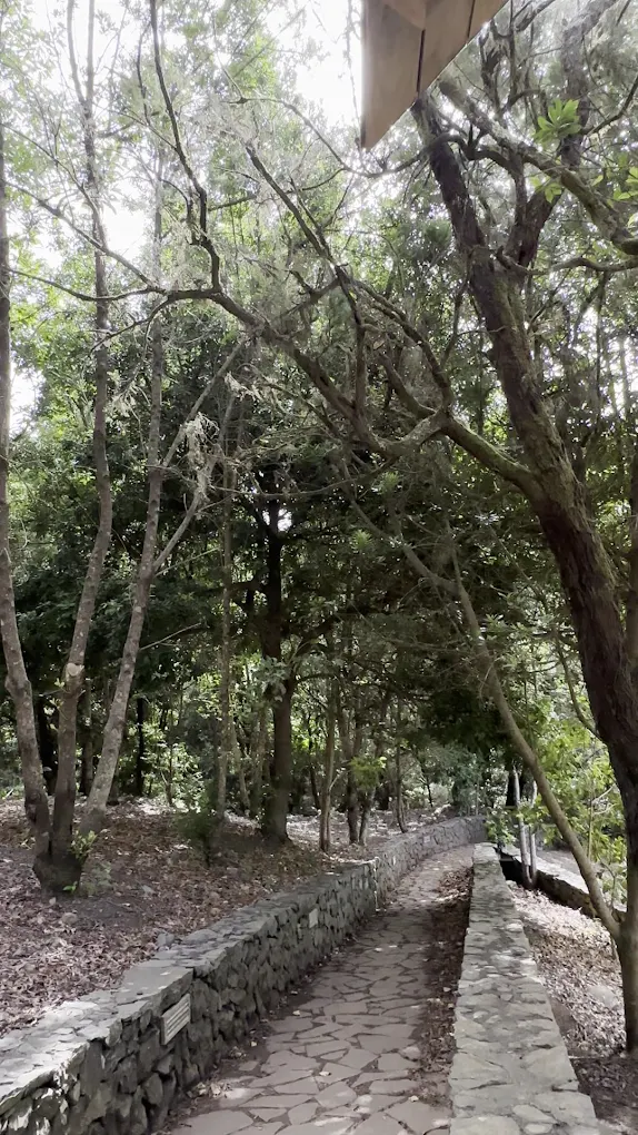 Hiking Tours in Hermigua photo 2
