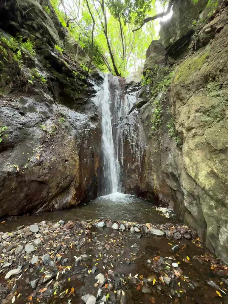 Hiking Tours in Hermigua photo 3