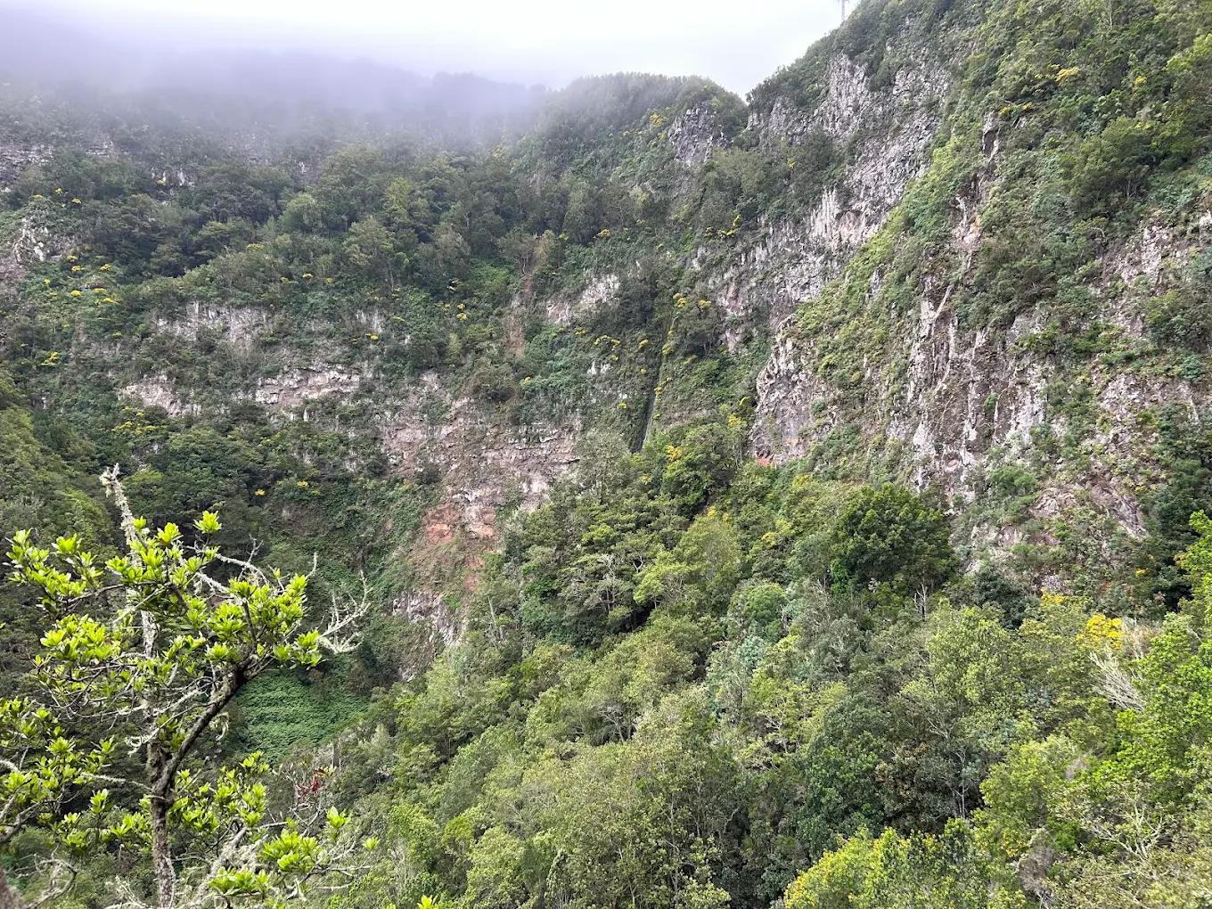 Hiking Tours in Hermigua photo 4