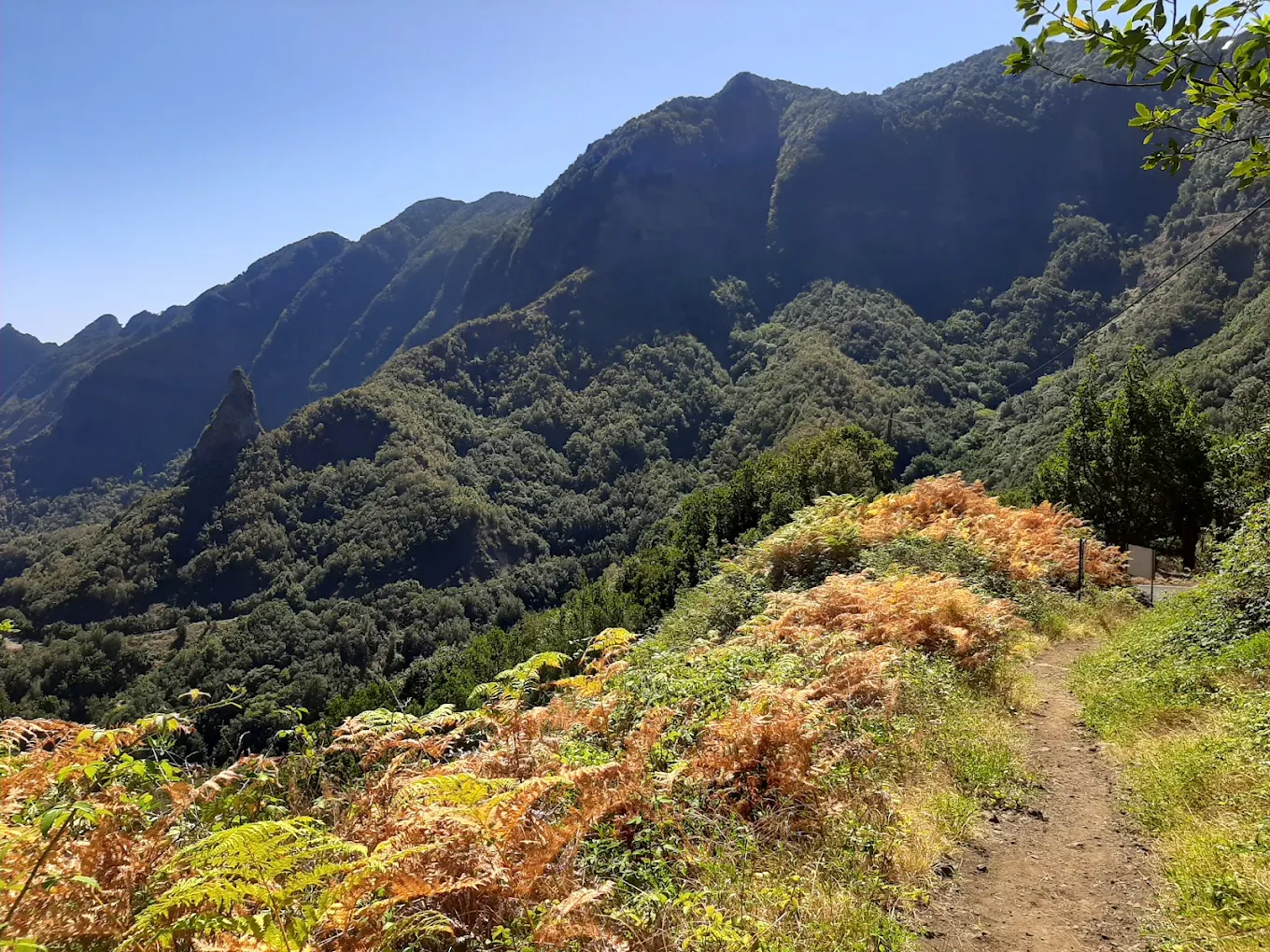 Hiking Tours in Hermigua photo 5