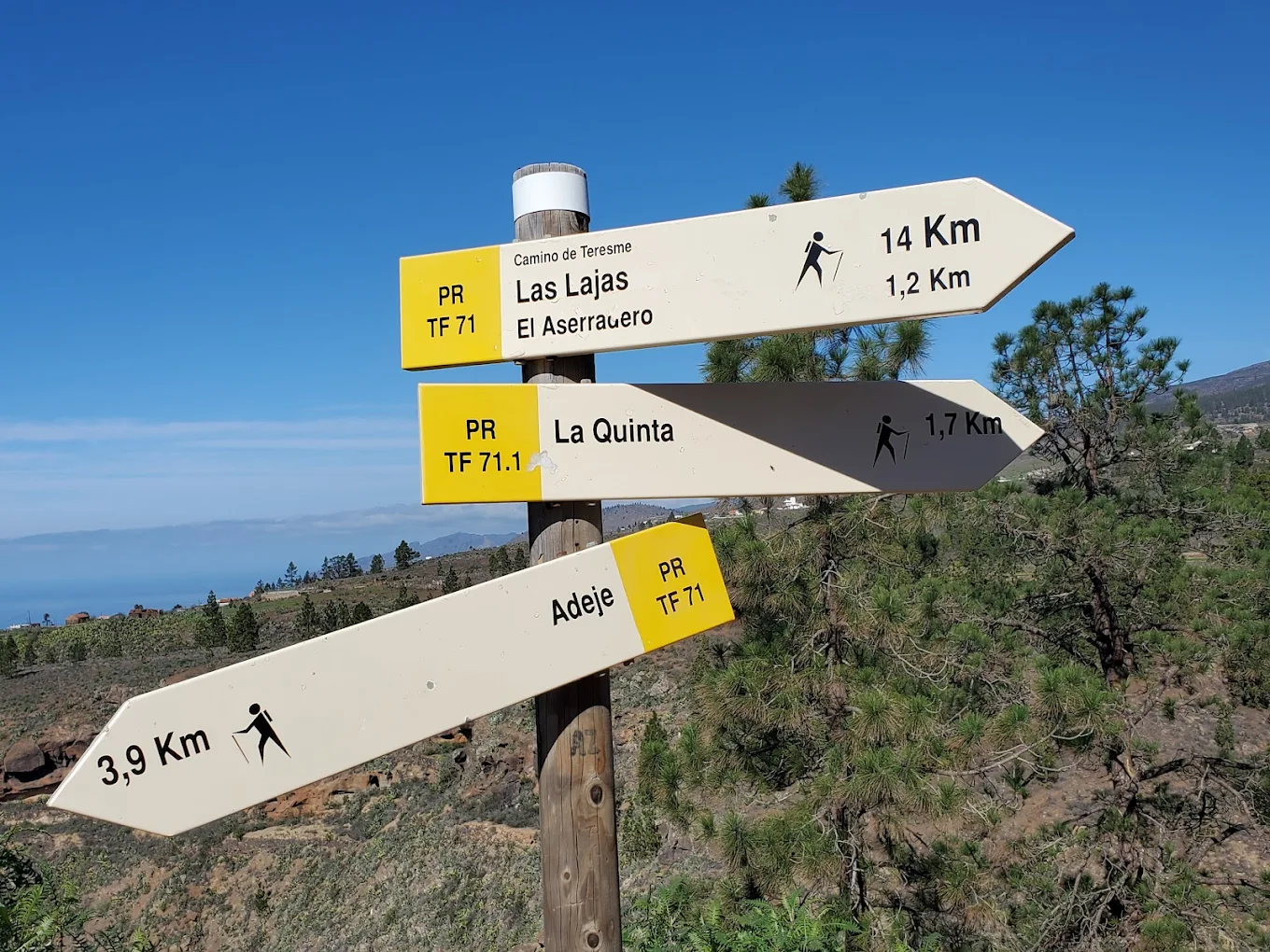 Hiking Tours in La Caleta photo 3